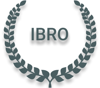 IBRO vector